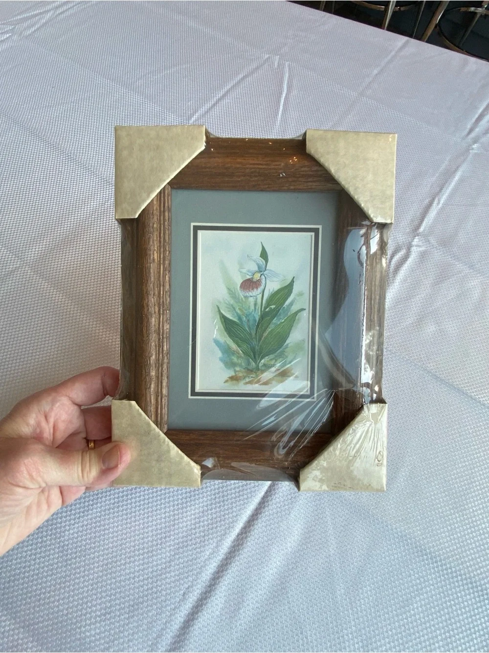 Lady Slipper Orchid-Classic Wood Frame Minnesota State Flower
